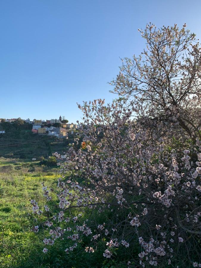El Sosiego, Der Rueckzugsort Santa Brígida Extérieur photo